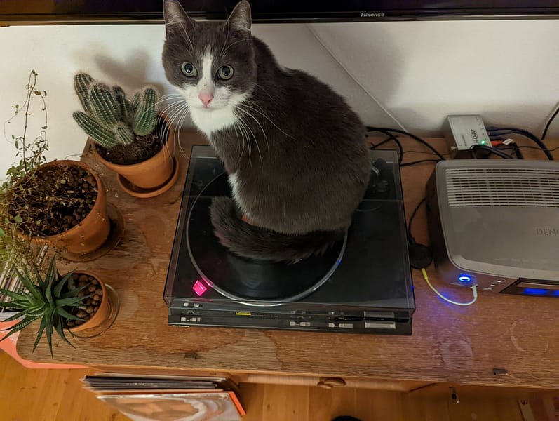 東森寵物雲股份有限公司北區西門分公司