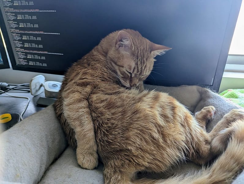 澎澎寵物美容坊