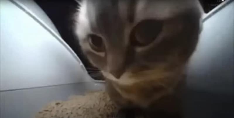 小步毛舍股份有限公司