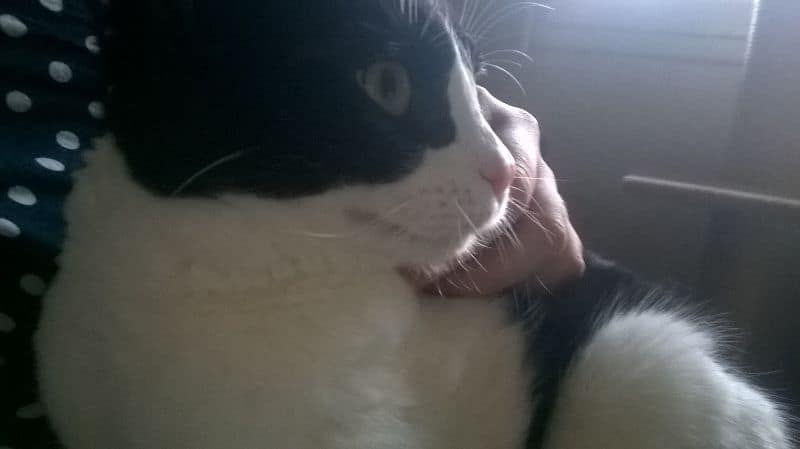 樂兒時尚寵物館