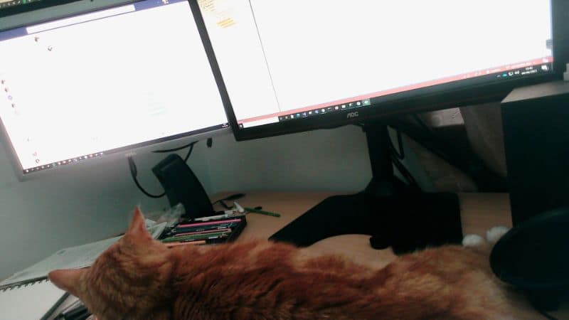 寵寵慾動美容沙龍館