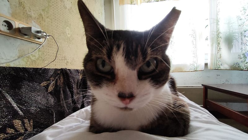 寶貝與我寵物生活館青年店