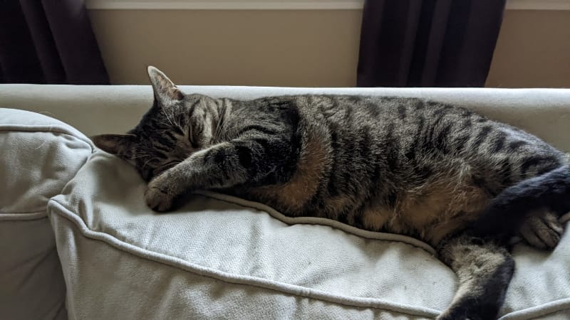 柯達美寵物美容生活舘