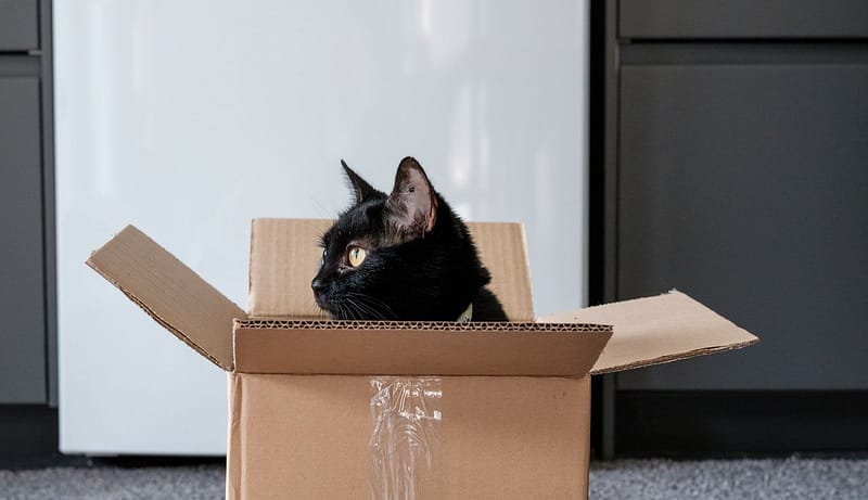 東森寵物雲股份有限公司彰化溪湖分公司