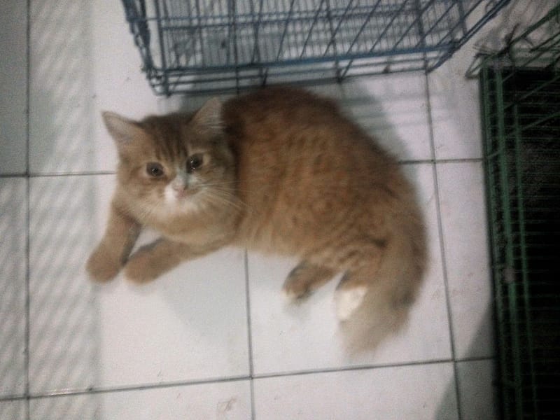 咪妮生活館有限公司