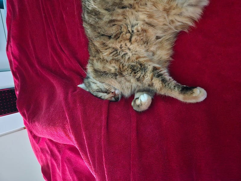 寵愛寵物生活館