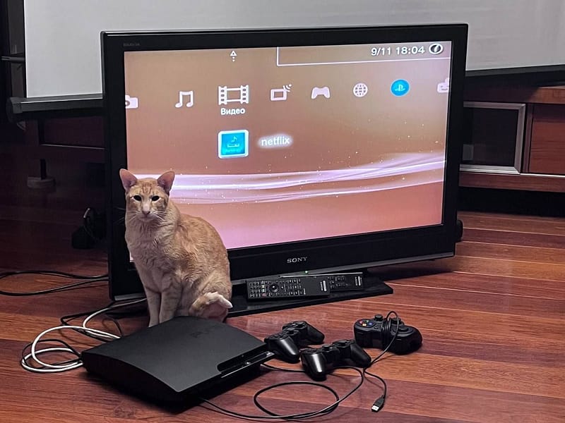 捲萌貓窩工作室