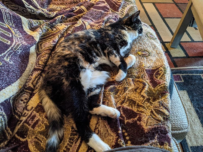 樂福犬寵物生活館