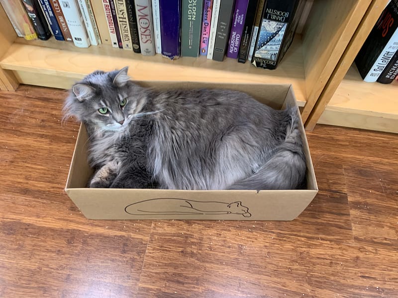 汪星人寵物精品