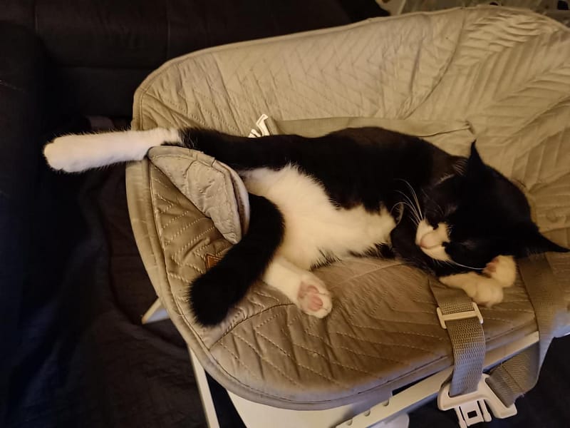 涬運狗寵物沙龍