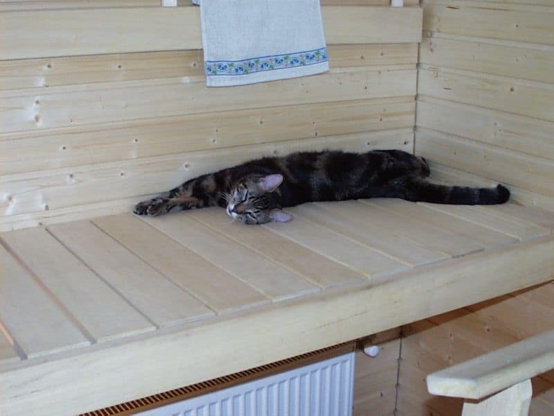 渵屋創意工作室