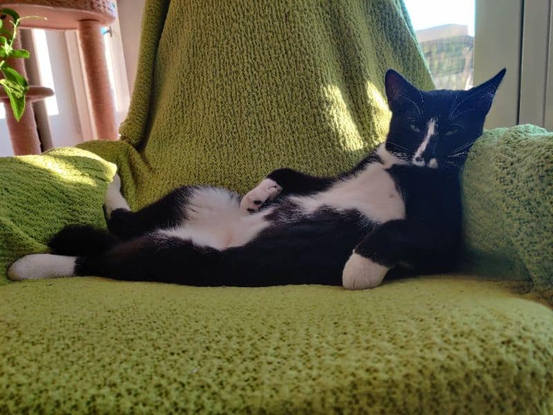 維樂寵物生活館