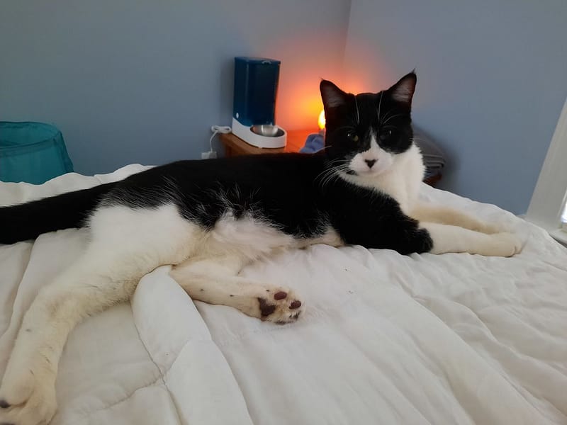 長榮寵物用品有限公司