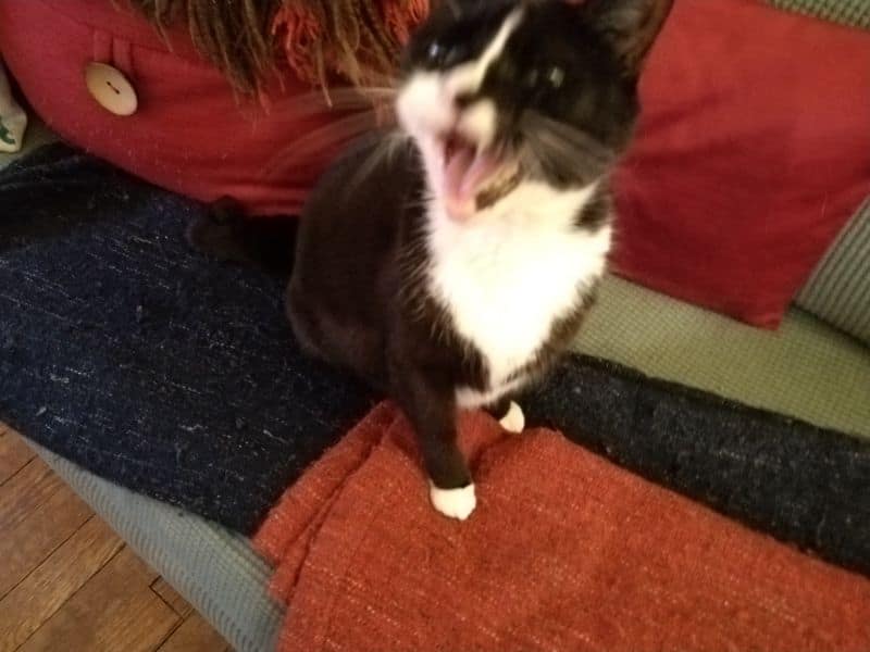 頌喜商貿有限公司