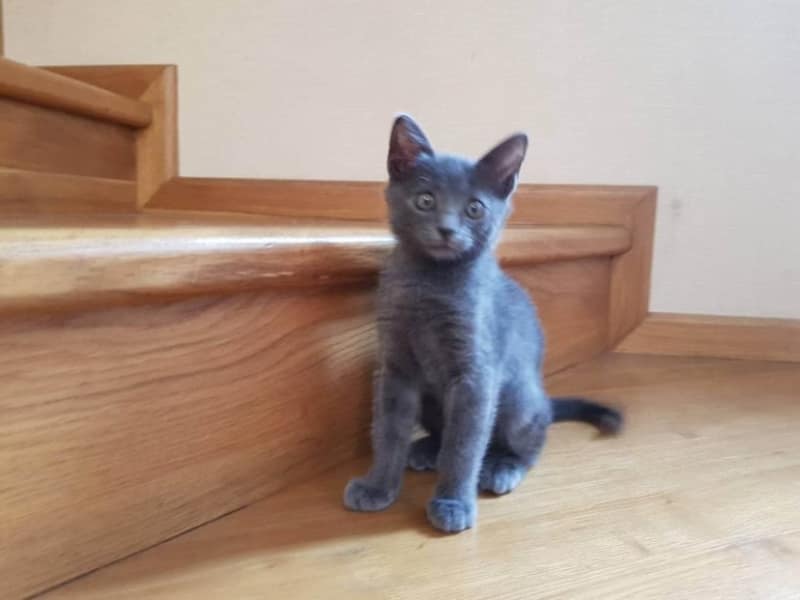 魚中魚樂活有限公司