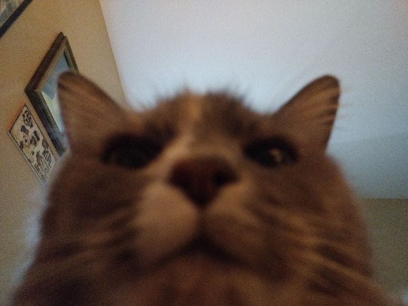 魚中魚樂活有限公司南屯分公司