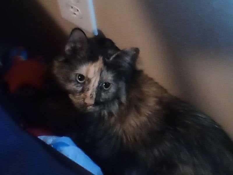 毛孩寵物生活館