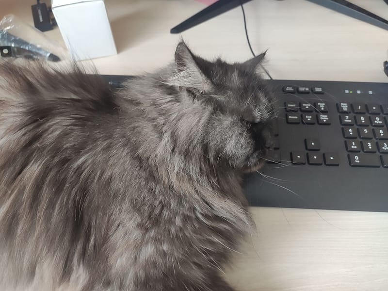 法耶爾錫特有限公司